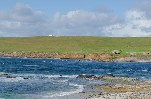 DSC_7341