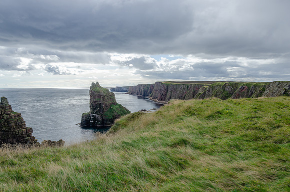DSC_7553