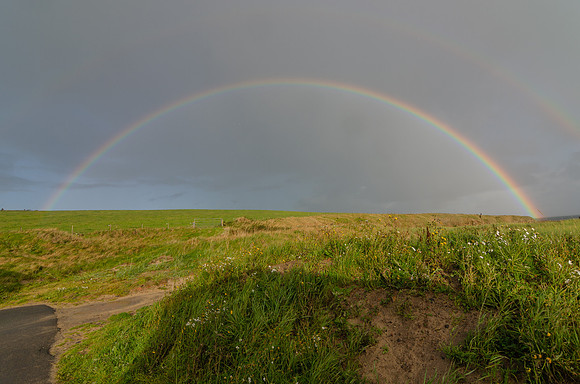 DSC_7437