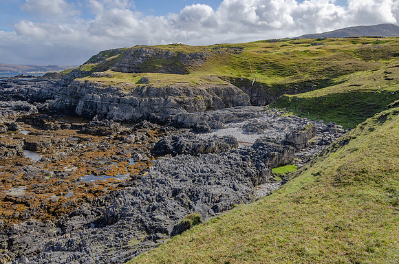 DSC_6961