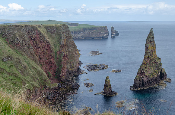 DSC_7570