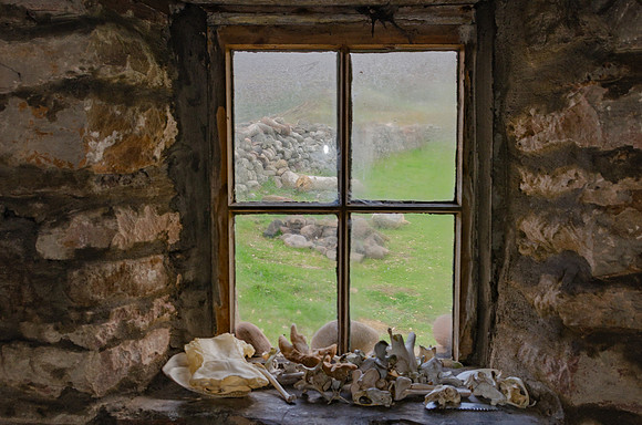 DSC_7216-1