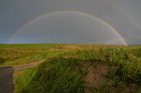 DSC_7430
