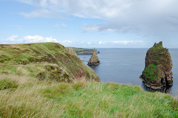 DSC_7572