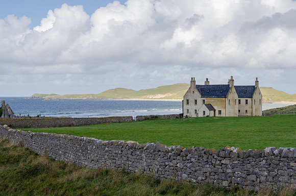 DSC_6784