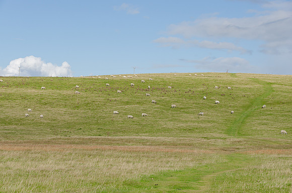 DSC_7614