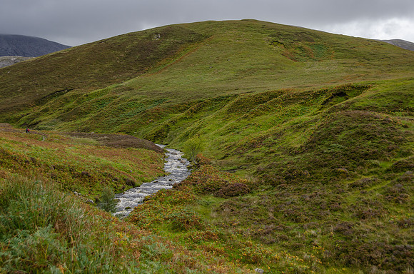 DSC_6585