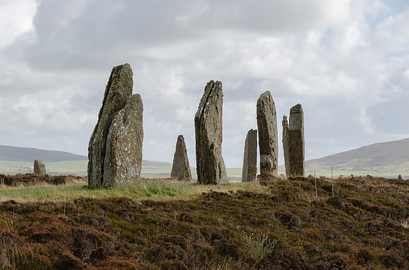 DSC_7370