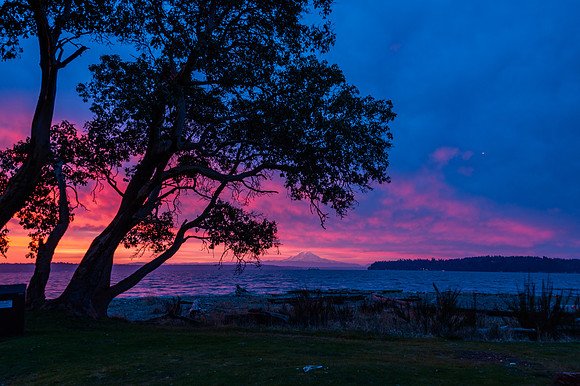 Blake Sunrise with Rainier Lisa Mize