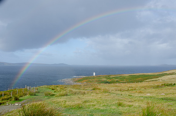 DSC_6480