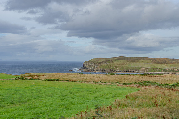 DSC_7085