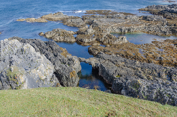 DSC_6975