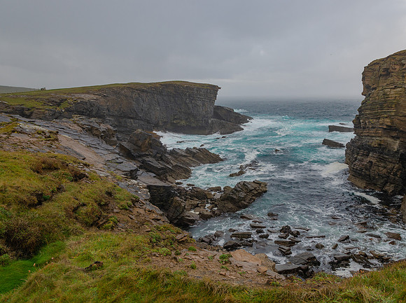 DSC_7269