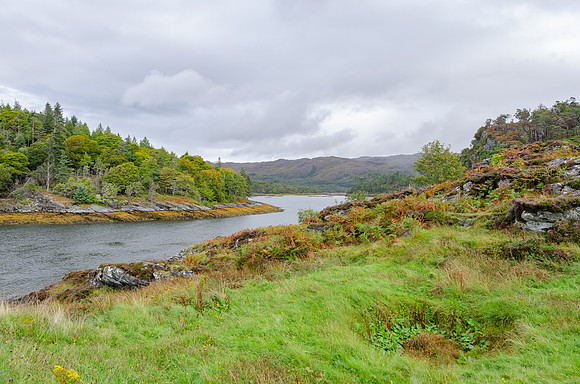 DSC_6241