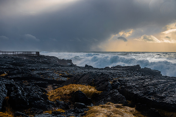 DSC_4819