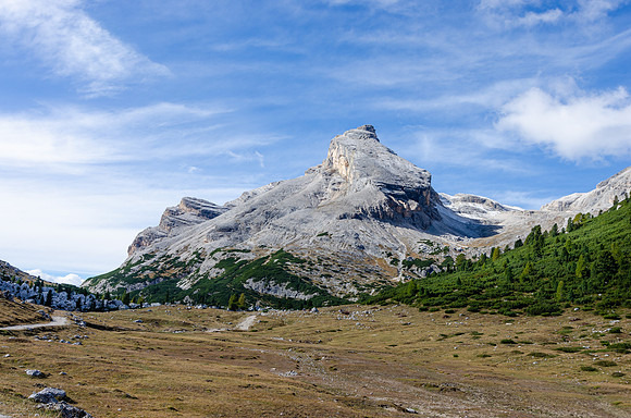 DSC_1500