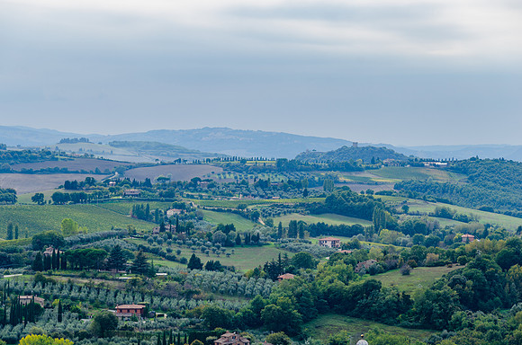 DSC_1961