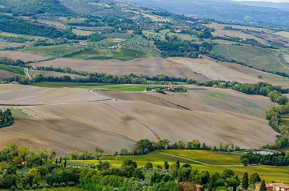 DSC_1965