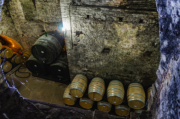 DSC_1991