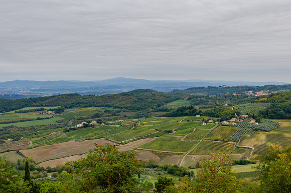 DSC_2080