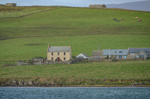 DSC_7135