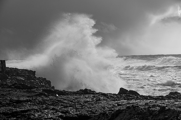 DSC_4828