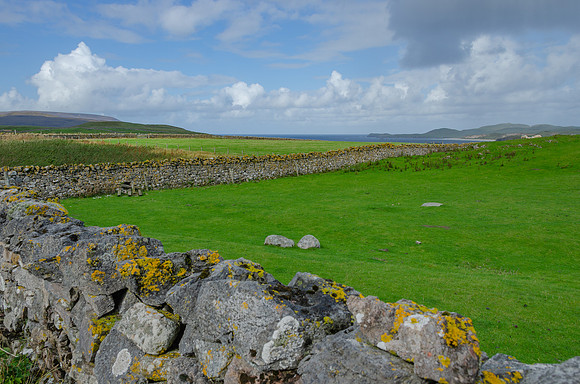 DSC_6771