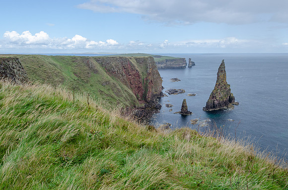 DSC_7568