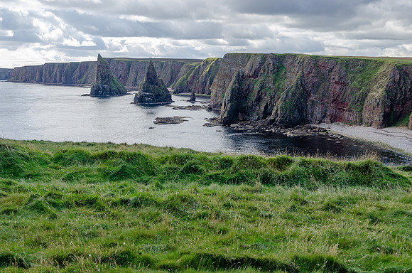 DSC_7530
