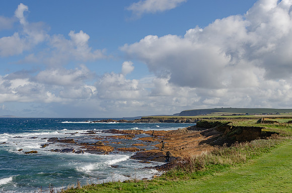 DSC_7347