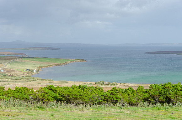 DSC_7142