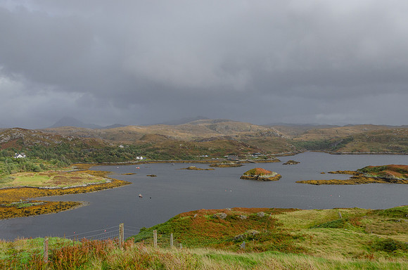 DSC_6695