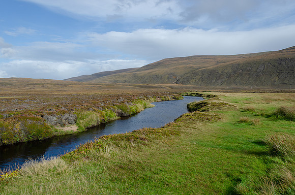 DSC_7200