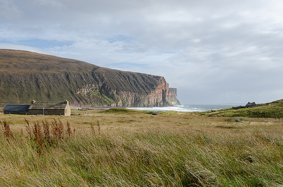 DSC_7255
