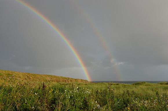 DSC_7435