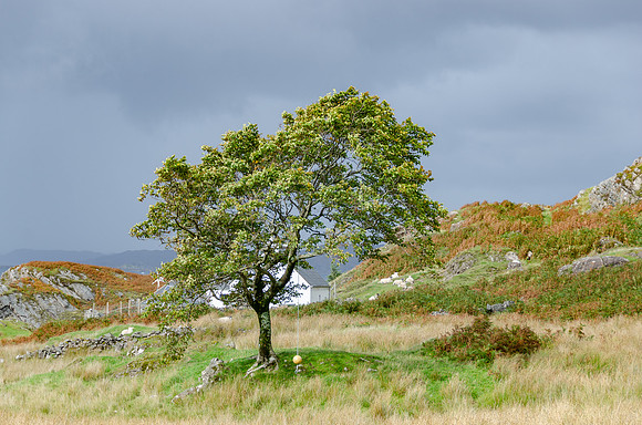 DSC_6291