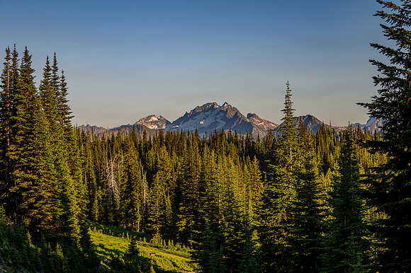North Cascades View 1