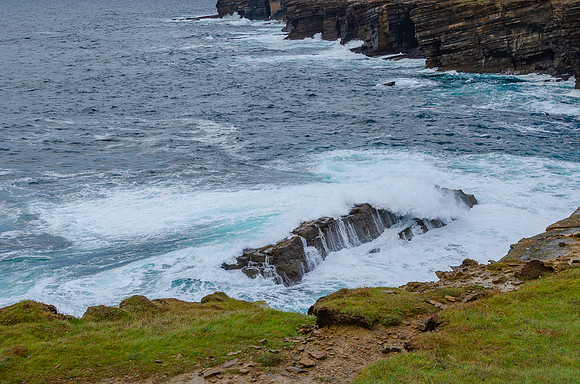 DSC_7292