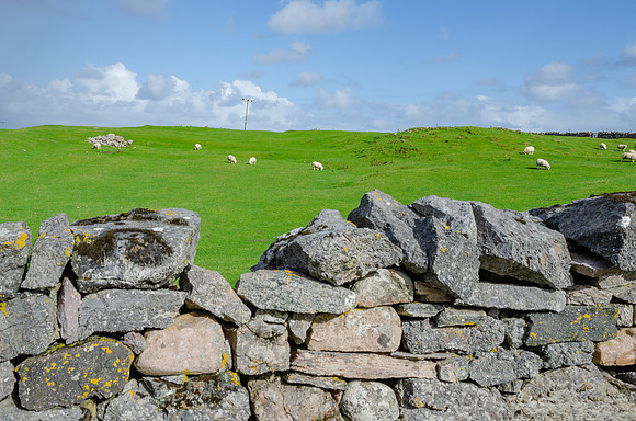 DSC_6764