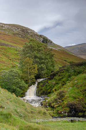 DSC_6663