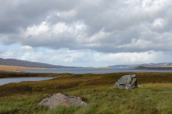 DSC_7030