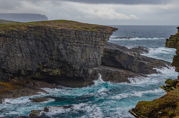 DSC_7276