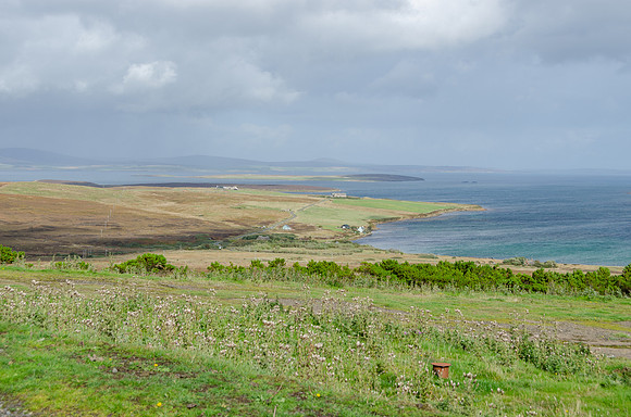 DSC_7152