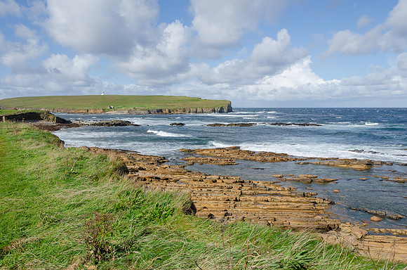DSC_7353