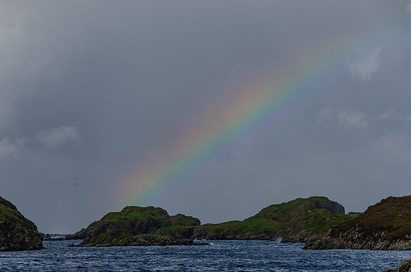 DSC_6735