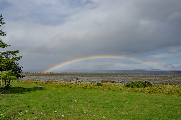 DSC_7780