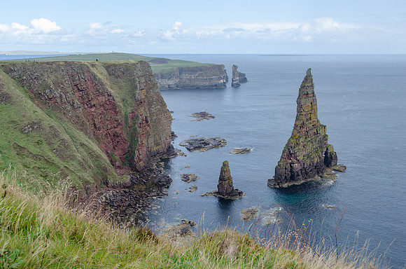 DSC_7566