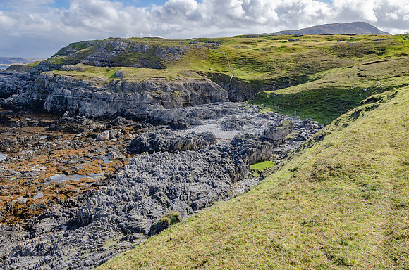 DSC_6960