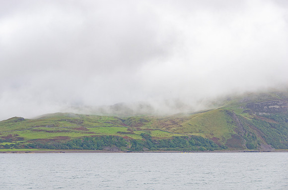 DSC_6202