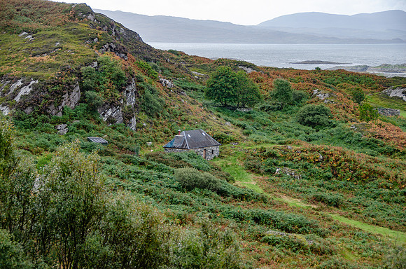 DSC_6272
